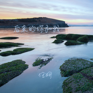 Listen to 后来的你和我 song with lyrics from 任妍