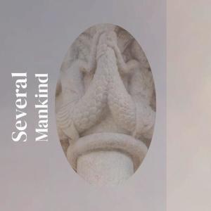Album Several Mankind from Various