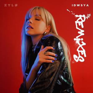 收聽XYLØ的I Don't Want To See You Anymore (Pilton Remix)歌詞歌曲