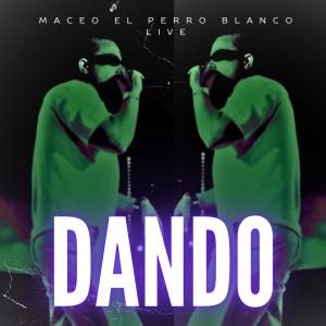 收聽maceo el perro blanco live的dando (live)歌詞歌曲