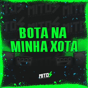 ดาวน์โหลดและฟังเพลง Bota Na Minha Xota (Explicit) พร้อมเนื้อเพลงจาก DJ RIICK ORIGINAL