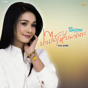 ดาวน์โหลดและฟังเพลง ปานได้เหี่ยมาเนาะ พร้อมเนื้อเพลงจาก ต่าย อรทัย