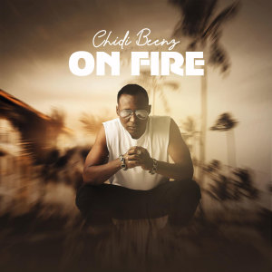 Chidi Beenz的专辑On Fire