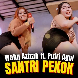 Album Santri Pekok from Putri Agni