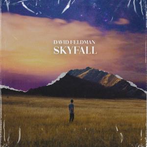收听David Feldman的SKYFALL歌词歌曲