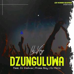 DJ Micro的專輯Lil Kay _Dzunguluwa (feat. Dj Zodwa, Dj Micro & Pross Boy)