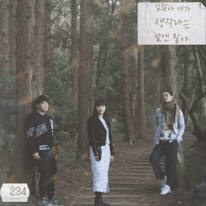 Listen to 있잖아 네가 생각나는 밤엔 말야 song with lyrics from 234