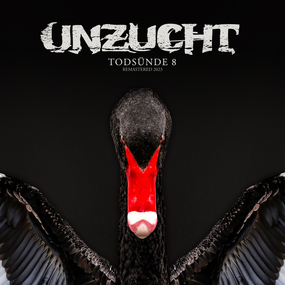 Engel der Vernichtung (Remastered 2023|PKT Remix)