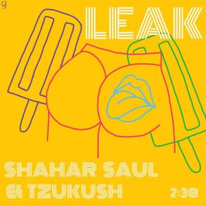 Album לק from Shahar Saul