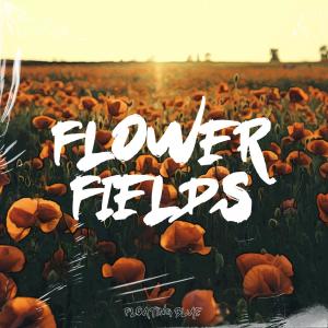 Dengarkan lagu Flower Fields nyanyian TikTok Guy dengan lirik
