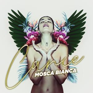 Album Mosca Bianca from Cance