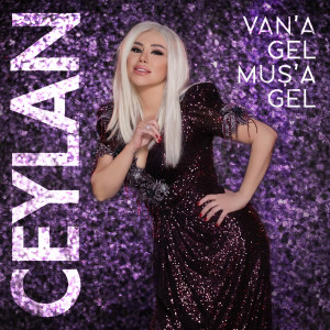Listen to Van'a Gel Muş'a Gel song with lyrics from Ceylan