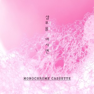 Album 샴푸를 마시면 from 모노크롬카세트