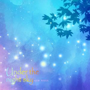 Album Under the night sky oleh Kim Naul