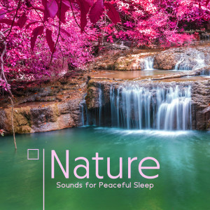 收听Natural Sleep Aid Music Zone的Serene Stream歌词歌曲
