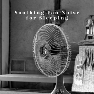 Album Soothing Fan Noise for Sleeping oleh Oliver Sleeping