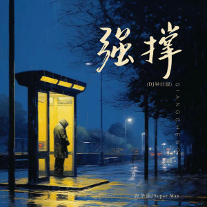 Album 强撑 (DJ钟壮版) from 张华涵