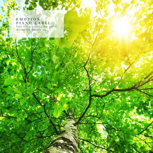 Listen to In A Warm Dream song with lyrics from Holly Field