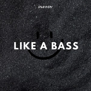 Album Like a Bass oleh Fahmy Fay