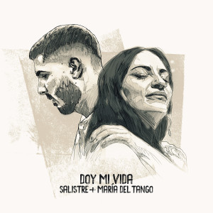 收聽Salistre的Doy Mi Vida歌詞歌曲