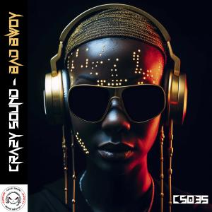 Crazy Sound的專輯Bad Bwoy