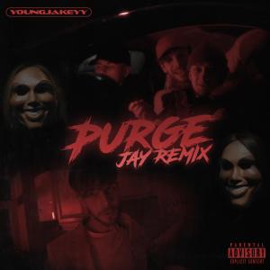 ดาวน์โหลดและฟังเพลง Purge Party (JayUK Remix) พร้อมเนื้อเพลงจาก YoungJakeyy