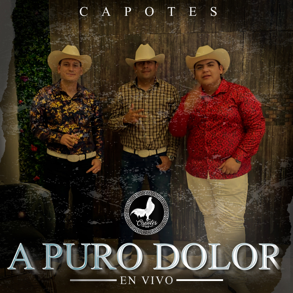 A Puro Dolor (En Vivo)