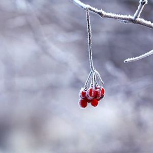 收聽金南玲的很愛很愛你歌詞歌曲