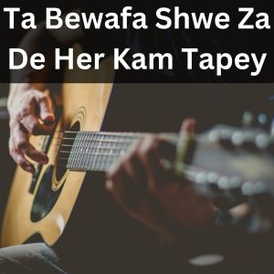 ดาวน์โหลดและฟังเพลง Ta Bewafa Shwe Za De Her Kam Tapey พร้อมเนื้อเพลงจาก Janas Khan