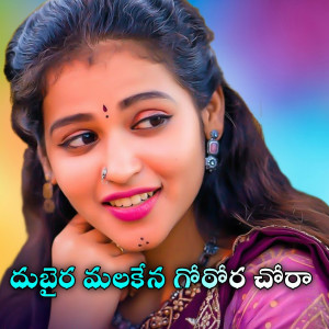 Listen to Dubaira Malakena Gothora Chora song with lyrics from Korra Kittu Naik