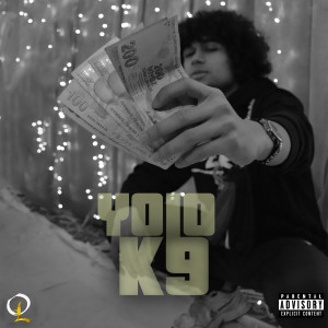 Album K9 (Explicit) from YOLO