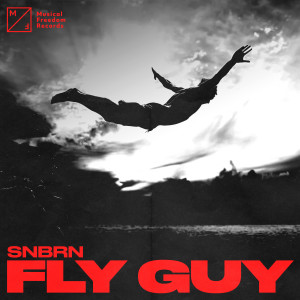 SNBRN的專輯Fly Guy