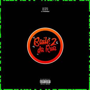 收聽Dj Fernandez的BAILE DA RUA 2 (Explicit)歌詞歌曲