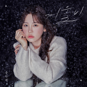 Listen to 겨울비 song with lyrics from 宋荷艺