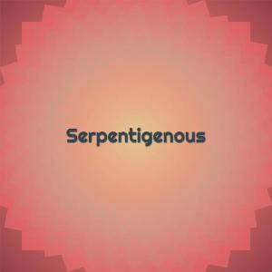 อัลบัม Serpentigenous ศิลปิน Various