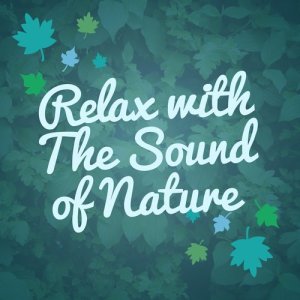 收聽Relaxing Sounds of Nature的Raining歌詞歌曲