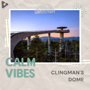 Album Clingman's Dome from Calm Vibes