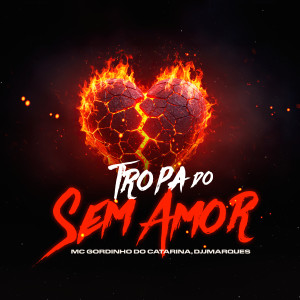 ดาวน์โหลดและฟังเพลง Tropa do Sem Amor (Explicit) พร้อมเนื้อเพลงจาก Mc Gordinho do Catarina