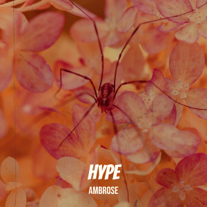 Album Hype from Ambrose