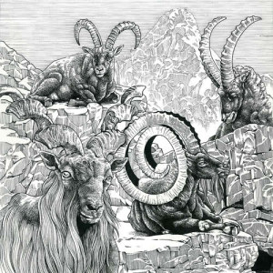 收听Vasco的GOAT歌词歌曲