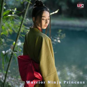 收聽Laszlo Vanyai的Warrior Ninja Princess (feat. Silver Bella)歌詞歌曲