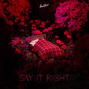 ดาวน์โหลดและฟังเพลง Say It Right พร้อมเนื้อเพลงจาก Organ