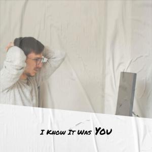 Various Artist的專輯I Know It Was You