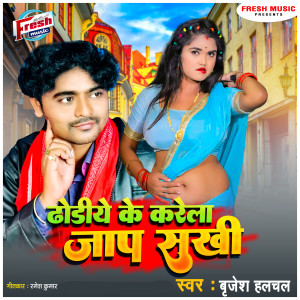 Listen to Dhodiye Ke Karela Jap Sahi song with lyrics from Brijesh Halchal