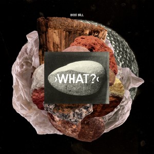 ดาวน์โหลดและฟังเพลง What พร้อมเนื้อเพลงจาก Bodi Bill