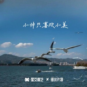 收聽M.R.Y麥爾彥的小帥只喜歡小美 (DJ版)歌詞歌曲