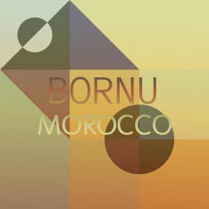 Various Artists的专辑Bornu Morocco