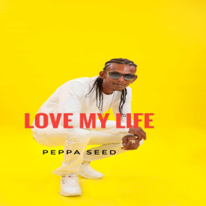 Listen to Love My Life song with lyrics from Peppa Seed