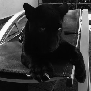 收听超燃（0.8x）的Hai Phút Hơn (Remix)歌词歌曲