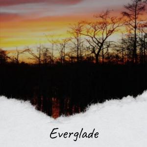 Listen to Tonight Evolutions song with lyrics from Edon Redi